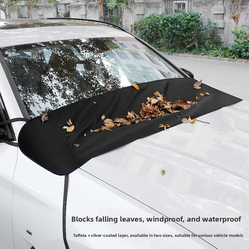 Protezione per il parabrezza d - Car Wiper recensione e prezzo